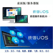 统信UOS V20（单位：个）

