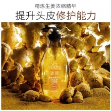 滋源生姜强根健发护发素（中干性）535ml(单位：瓶)