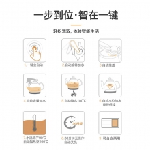 新功 G11 全自动电热双炉泡茶炉 灰 （单位：台）