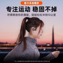爱国者 MP3-601蓝牙运动耳机 黑色(单位：个)