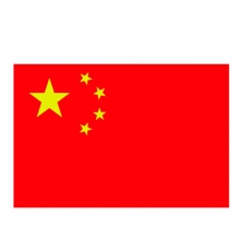 中国 1号 2号 3号 4号 耐水耐晒 国旗 中国国旗 五星红旗 党旗 团旗  5号国旗 96cm*64cm