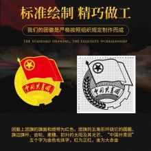  团员团徽共青团 小号团徽别针10个装