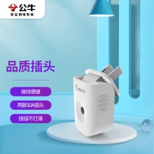 公牛（BULL）插头二三脚插头3脚空调插 10a插头2脚电源插座无线/自行接线 GNT-10L6二脚10A插头(独立包装）
